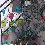 Le Camelie Altamura