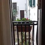 Le Camelie
