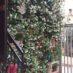 Apartment Le Camelie