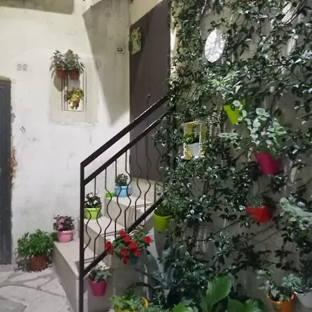 Appartement Le Camelie *