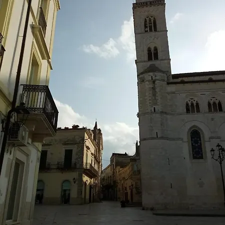 Appartement Le Camelie *
