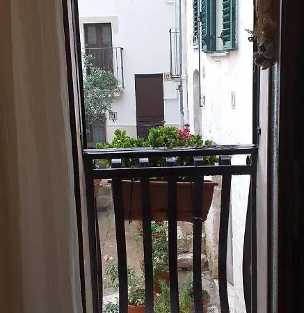 Le Camelie