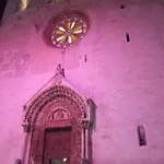 Le Camelie Altamura