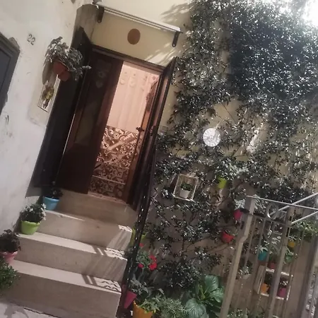 شقة Le Camelie ألتامورا