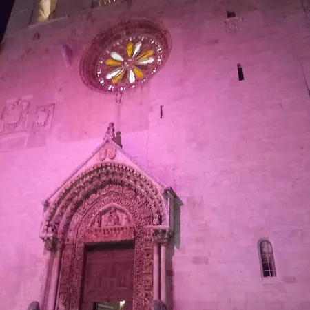 Le Camelie Altamura