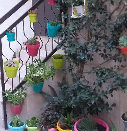 Le Camelie ألتامورا